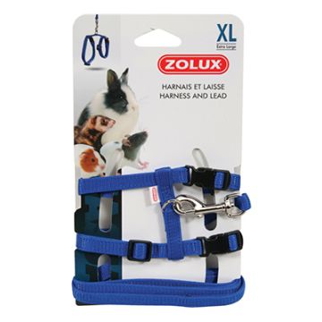 207117 Zolux Am I Povodac Glodari Casual XL Plavi
