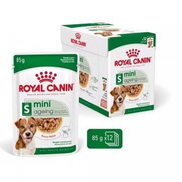 Royal Canin Mini Ageing 12x85g