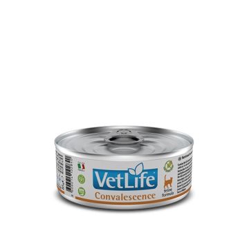 Vet Life Cat Convalescence 85g