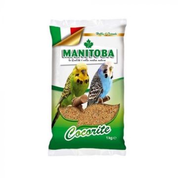 Manitoba Cocorite Perruche Hrana Za Tigrice 1kg