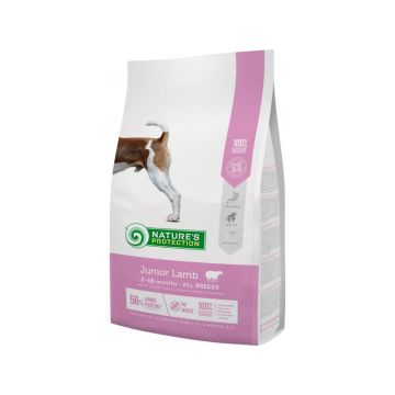 Nature's Protection Dog Junior Jagnjetina 2kg