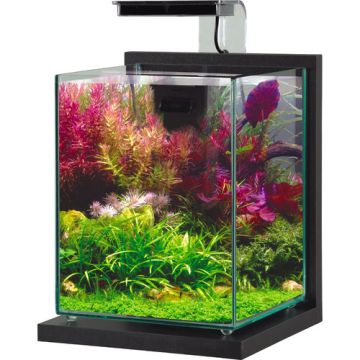 307224 Zolux Jalaya 2 Akvarijum - Antracit 20x20x25cm