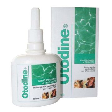 ICF Otodine 100ml