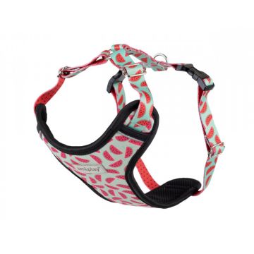 Amiplay Be Happy Podesivi Am Discovery XXL Lubenica 50-75cm / 70-105cm