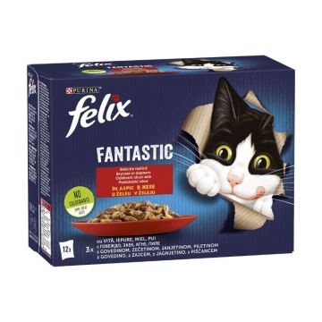 Felix Kesica Fantastic Sos 12x85g
