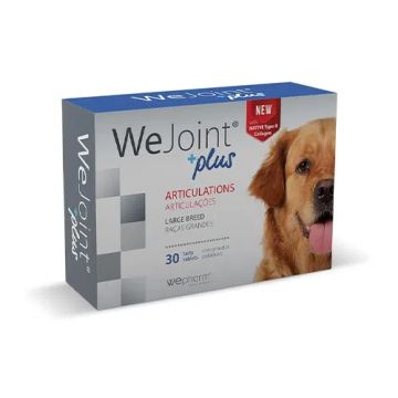 Wepharm WeJoint Plus Large Breeds 30 tableta