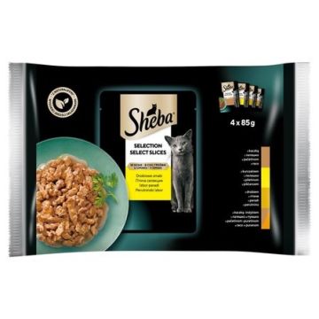 Sheba Kesice Izbor Živine u Sosu 4x85g