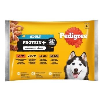 Pedigree Protein+ Mešani Izbor u Želeu Kesice 4x85g