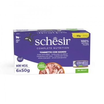 Schesir Cat Multipack Tunjevina i Govedina u Želeu 6x50g