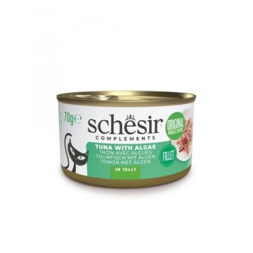 Schesir Cat Tunjevina i Alge u Želeu 70g