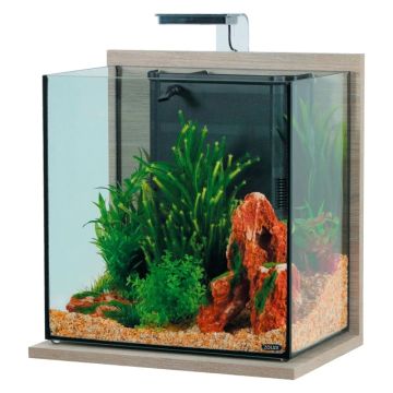 307195 Zolux Idro 40 Akvarijum Set Zebrano Sivi 43x30x51,5cm / 40L