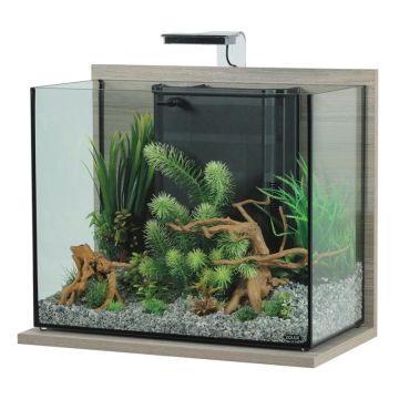 307197 Zolux Idro 50 Akvarijum Set Zebrano Sivi 53x30x51,5cm / 50L