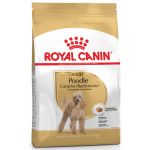 Royal Canin Poodle Adult 500g