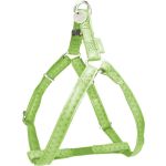 435176ANI Zolux Maclaeather Podesiv Am 20mm Anis