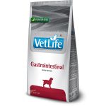 Vet Life Dog Gastrointestinal 12kg