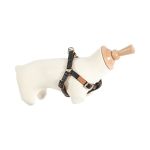 466772NOI Zolux Podesiv Am IMAO Mayfair Crni 20mm