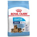Royal Canin Maxi Starter 4kg