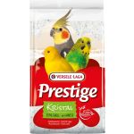Versele-Laga Kristal Shell Sand White 5kg