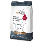 Platinum Vetactive Senior Piletina 1,5kg