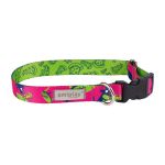 Amiplay Amik Podesiva Ogrlica PizzaDog XL 45-70cm x 2,5cm