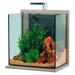 307195 Zolux Idro 40 Akvarijum Set Zebrano Sivi 43x30x51,5cm / 40L