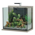 307197 Zolux Idro 50 Akvarijum Set Zebrano Sivi 53x30x51,5cm / 50L