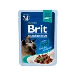 Brit Premium by Nature Cat Delicate Fileti U Sosu Sa Govedinom 85g