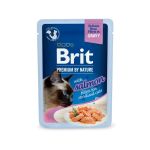 Brit Premium by Nature Cat Delicate Fileti U Sosu Sa Lososom Sterilised 85g