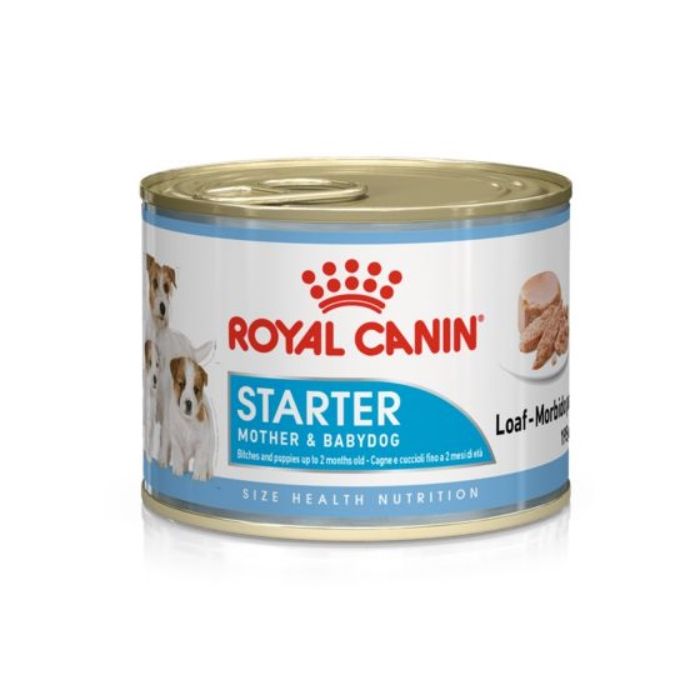 Royal Canin Starter Mousse Dog 195g