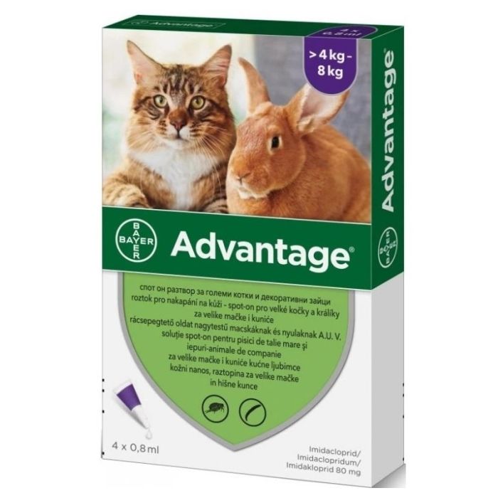 Advantage 80mg Spot-On Ampula za Velike Mačke i Kuniće 4-8kg 0,8ml / 1kom.