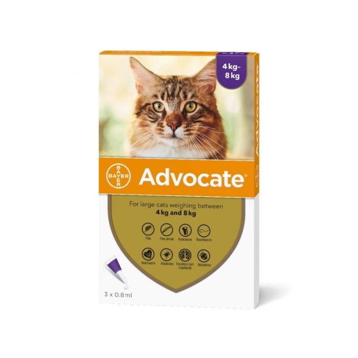 Advocate Spot-On Ampula za Velike Mačke 4-8kg 0,8ml / 1kom.