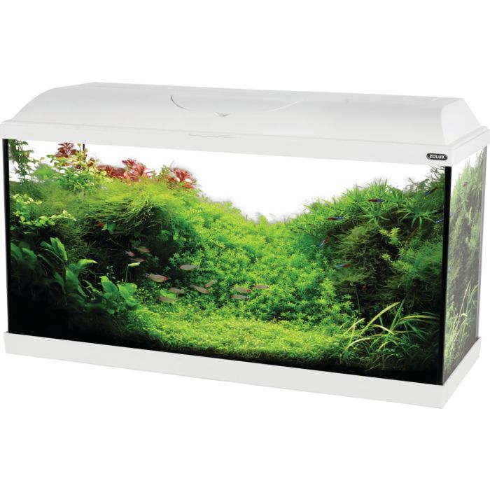 309015 Zolux Beli Akvarijum Set Iseo 80