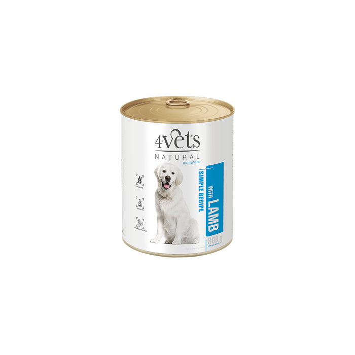 4Vets Natural Complete Dog Jagnjetina 800g