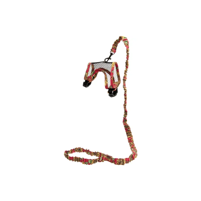 Flamingo Am i Povodac Za Glodare Art Joy Šareni