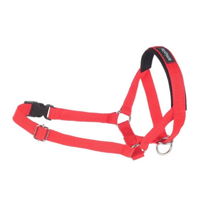Amiplay Trening Traka za Njušku Rottweiler XL Crvena 24-45cm x 50-65cm x 2cm