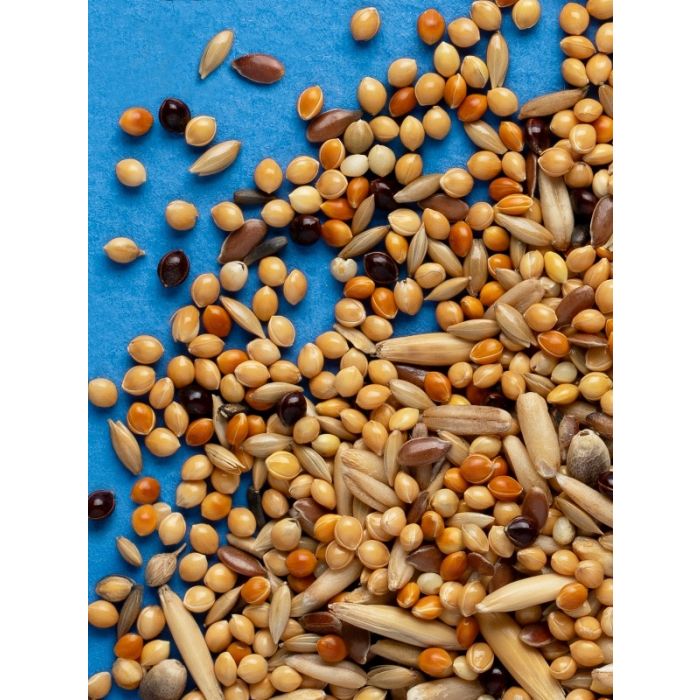 Rio Hrana za Tigrice 1kg