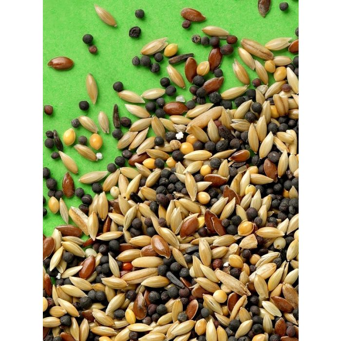 Rio Hrana za Kanarince 500g