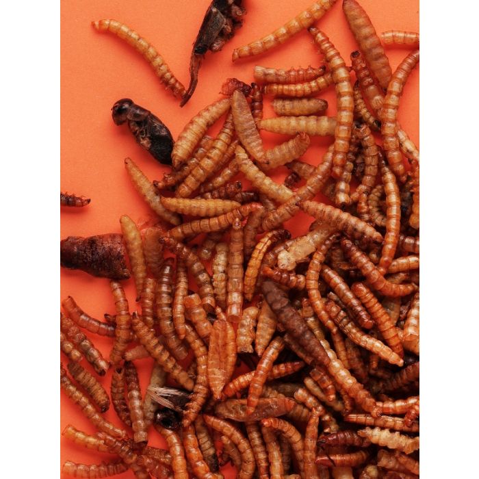 Little One Poslastica Mix sa Insektima za Glodare Svaštojede 75g
