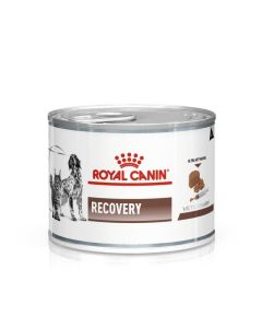 Royal Canin Recovery Canine / Feline 195g