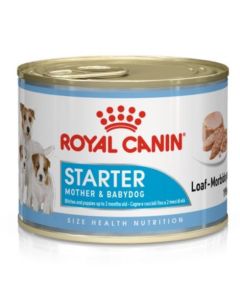 Royal Canin Starter Mousse Dog 195g