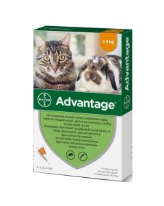 Advantage 40mg Spot-On Ampula za Male Mačke i Kuniće do 4kg 0,4ml / 1kom.