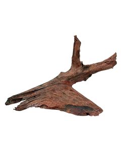 356030 Zolux Koren Mangrov M 25/40cm