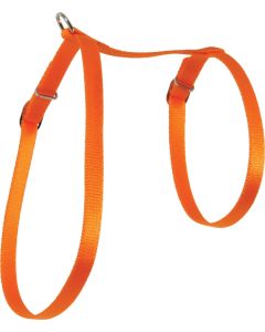 546 132ORA Zolux Am Nylon Za Mace Narandžasti