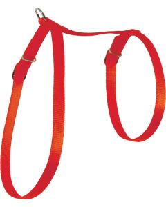 546 132RGE Zolux Am Nylon Za Mace Crveni