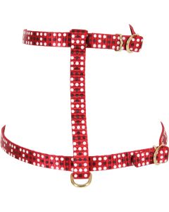 546137RGE Zolux Mačke Am Colorful 10mm Crvena