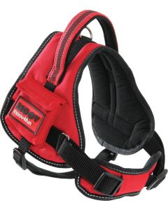 466673 Zolux Moov Comfort Podesiv Am M