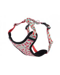 Amiplay Be Happy Podesivi Am Discovery XXL Lubenica 50-75cm / 70-105cm