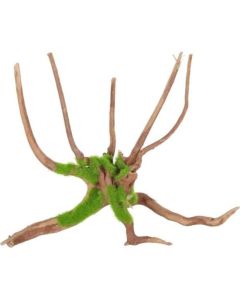 Zolux Kipouss Spider Koren S 10-20cm