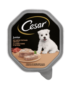 Cesar Junior Ćuretina i Teletina u Posudi 150g