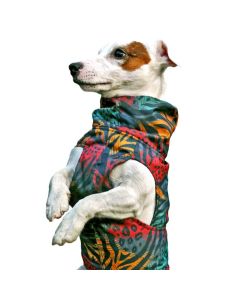 13th Dog Jakna Africa S / 36cm / 36-43cm / 30cm